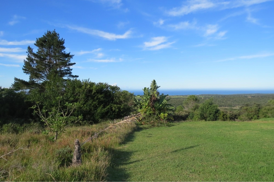 0 Bedroom Property for Sale in Chelsea Eastern Cape